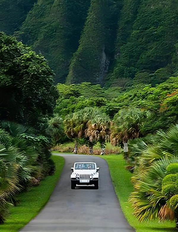 White Jeep in Kauai